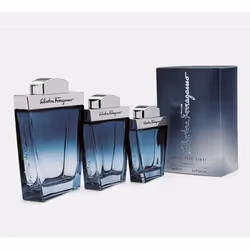 Salvatore Ferragamo Subtil 100 ml Uomo - Vista aggiuntiva 4