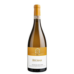 Cantine Antonio Caggiano Béchar – Fiano Di Avellino vino 0,75 L Varietale Bianco 2019