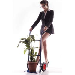 Serena Group Carrello Portatutto 80 Kg