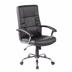 Serena Group E 9055 H, Seduta imbottita, Schienale imbottito, Nero, Nero, Poliuretano (PU), Poliuretano (PU)