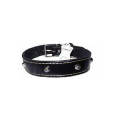 Collare Cani Cuoio Borchie Mm 40 Cm 65
