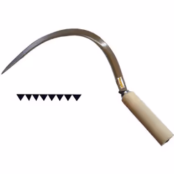 in acciaio forgiato, manico legno