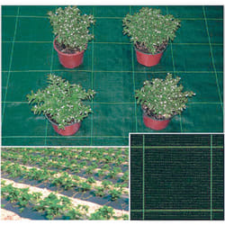 Trex - Telo in rafia per pacciamatura verde - mt.100x1,57h.