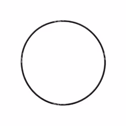 Nome prodotto O-ring s100 PL AG 500 - TLE 48 Codice BM 028418 Marca KAAZ Riferimento originale 214B10000 Modelli macchine MOT ...