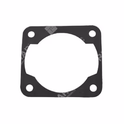 More more more Information Nome prodotto Guarnizione cilindro per soffiatori GREEN LINE Codice BM 030292 Marca Green Line Mod ...