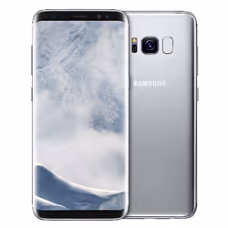 Telecom Italia Samsung Galaxy S8 4G 4GB 64GB Argento