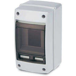 Rosi - Centralino Da Parete Completo Di Barra din Grigio IP65 2/4 Moduli RS3902-T