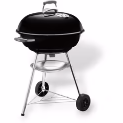 Accendi il barbecue. Metti il grembiule, prendi gli utensili e comincia a cucinare. Sperimenta con piatti e metodi semplici o ...