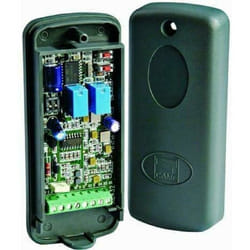 Came - ricevente bicanale multiutenza 433,