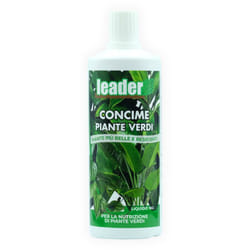 Leader - concime piante verdi liquido 1kg