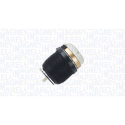 Molla pneumatica, telaio MAGNETI MARELLI 350001000002