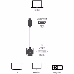 Techly ICOC DSP-C12-010P cavo e adattatore video 1 m DisplayPort DVI-D Nero