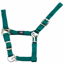 Cavezza in nylon doppio con fibbie in ferro ottonato, doppia regolazione e moschettone Misure: pony, cob, full, extra full Co ...
