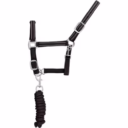 Cavezza in nylon con doppia regolazione e moschettone, imbottitura in neoprene e cuciture riflettenti, completa di lunghina.  ...