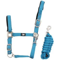 Cavezza nylon con rinforzo in pelle completa di lunghina intrecciata: Full, Blu Royal