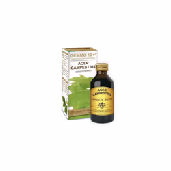Dr Giorgini Gemmo 10+ Acero Campestre è un integratore alimentare indicato per favorire il benessere del fisico. Flacone da 2 ...