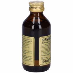 Dr. Giorgini Gemmo 10+ Betulla Bianca Linfa Integratore per Drenare 100ml - Vista aggiuntiva 4