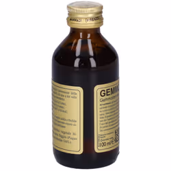 Dr. Giorgini Gemmo 10+ Faggio Integratore Ricostituente 100ml - Vista aggiuntiva 4