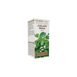 Dr. Giorgini Noce 10+ Integratore per Gola 100ml