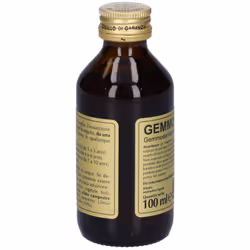Dr.Giorgini Gemmo 10+ Olmo Campestre Integratore per Benessere 100ml - Vista aggiuntiva 4