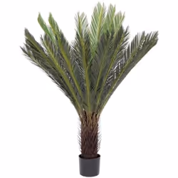 La pianta artificiale "Palma Cycas" è un'eccellente alternativa per aggiungere un tocco di verde e natura al tuo ambiente sen ...