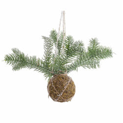 Decorazione sfera kokedama con pino inn D5