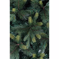 Albero Tauri H240-1686Rami
