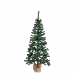 Albero Cerano H165-287Rami
