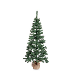 Albero Cerano H165-287Rami