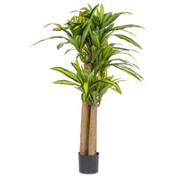 Bizzotto - Pianta artificiale 'Dracaena' con vaso in plastica nero, con foglie in gomma -Ø110x150h cm