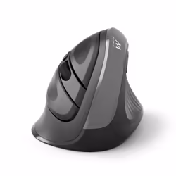 Ewent EW3229, Mano destra, Design verticale, Ottico, RF Wireless, 2400 DPI, Nero, Grigio