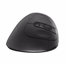 Ewent EW3229 mouse Ufficio Mano destra RF Wireless Ottico 2400 DPI