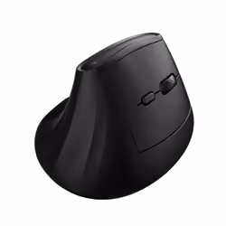 Ewent EW3208, Mano destra, Design verticale, Ottico, RF senza fili + Bluetooth, 4000 DPI, Nero