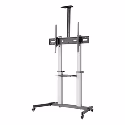 Ewent EW1592 Supporto TV a parete 2,54 m (100") Nero, Grigio