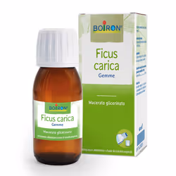 Macerato glicerico di Ficus Carica, rimedio naturale utile in caso di acidità di stomaco, gastrite e bruciore di stomaco.