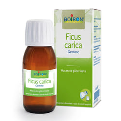 Boiron Ficus Carica Gemme Macerato Glicerico 60ml
