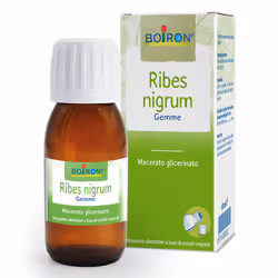 Macerato glicerico di Ribes Nero, utile in caso di allergie, tosse e infiammazioni.

Formato: flacone da 60ml