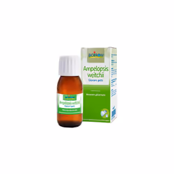 Usufruisci dell'esperienza decennale della Boiron con il macerato glicerico Ampelopsis Weitchii.