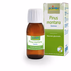 Boiron Pinus Montana Macerato Glicerico 60ml