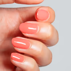 Top Notch by Mesauda Iconic Colour Gel, 238 Primrose, 14 ml