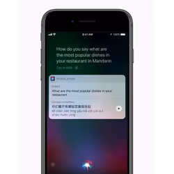 Come Novo iPhone 8 11,9 cm (4.7") SIM singola iOS 11 4G 64 GB Grigio Rinnovato - Vista aggiuntiva 7