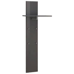 Dmora - Mobile da ingresso Etesia, Entratina moderna multifunzione, Armadietto multiuso per atrio, 100% Made in Italy, cm 50x27h140, Antracite lucido