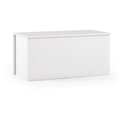 Dmora - Baule Ayusnay, Capiente box contenitore multiuso, Cassapanca moderna, 100% Made in Italy, 90x45h45 cm, Bianco