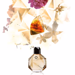 Francesca Dell'Oro Ambrosine 100 ml - Vista aggiuntiva 5