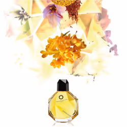 Francesca Dell'Oro Envoutant 100 ml - Vista aggiuntiva 5