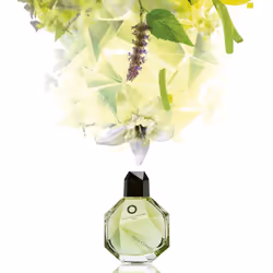 Francesca Dell'Oro Voile Confit 100 ml - Vista aggiuntiva 5