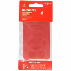 Mr&Mrs Fragrance Cesare cura dell'aria Auto Carta