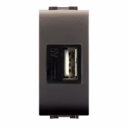 Presa USB imput 230Vac output 5Vdc 2.1A