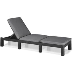 Lettino prendisole Okotoks, Sdraio da giardino, Letto pieghevole outdoor, Sedia reclinabile, 195x65 h26 cm, Antracite - Dmora