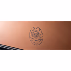 Bertazzoni F6011MODVTC forno 76 L 2800 W Rame - Vista aggiuntiva 4